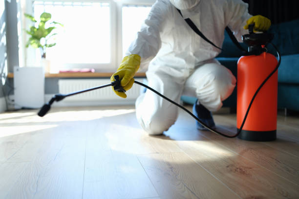 Reliable Odor Removal contractor in Waterboro, ME by Trauma Clean Pros